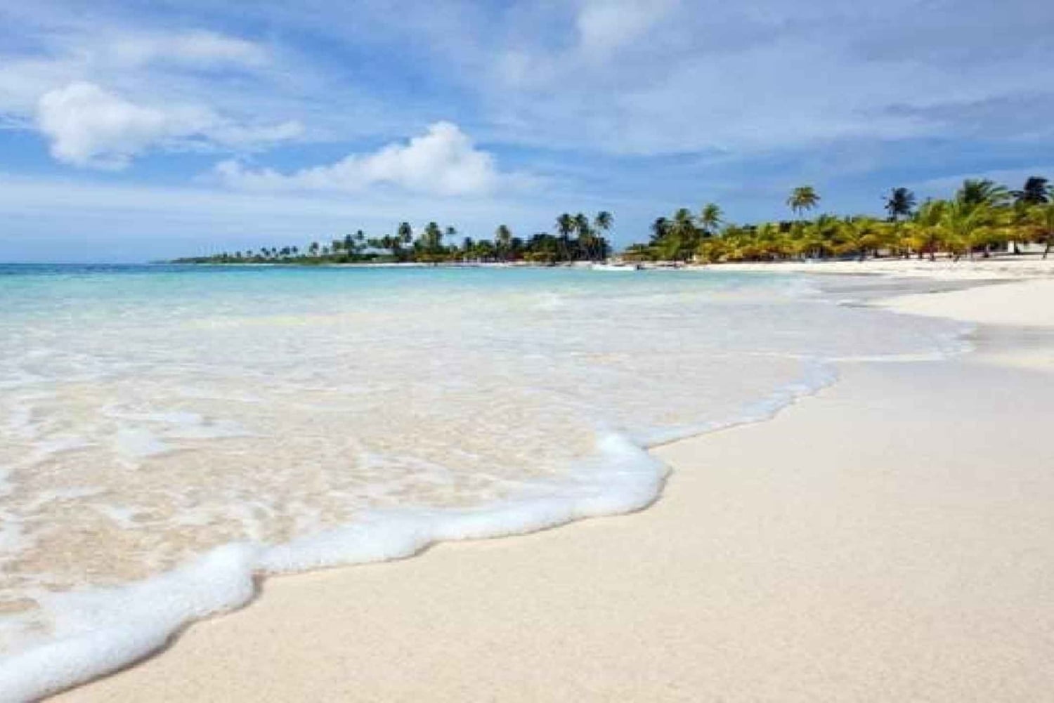 Private: Catalina Island Snorkeling & BBQ Boat Tour