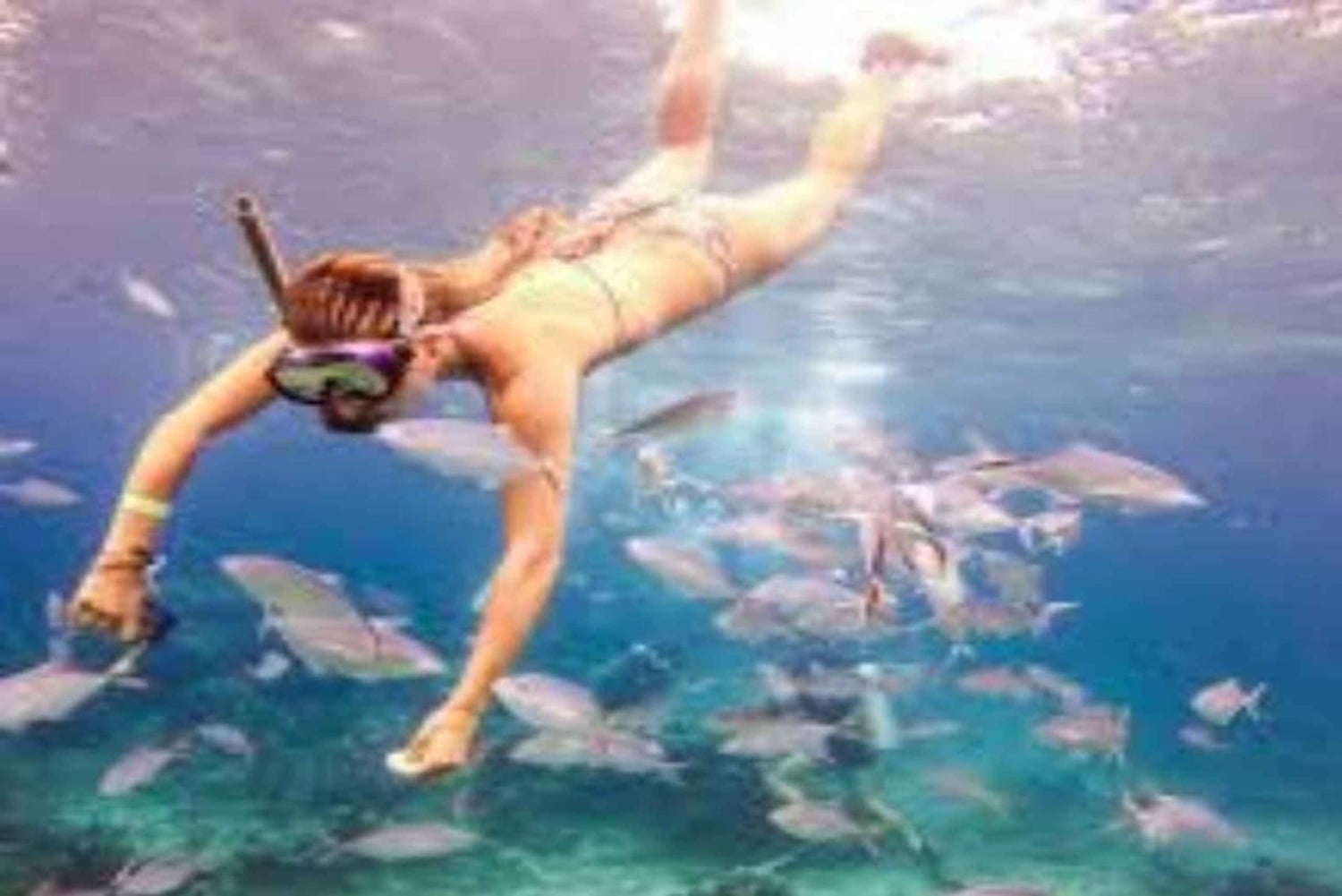 Private: Catalina Island Snorkeling & BBQ Boat Tour