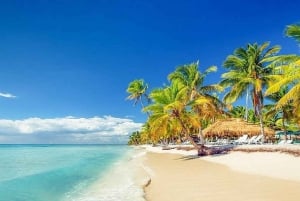 Private: Catalina Island Snorkeling & BBQ Boat Tour