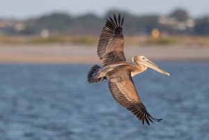 Private: Catalina Island Snorkeling & BBQ Boat Tour