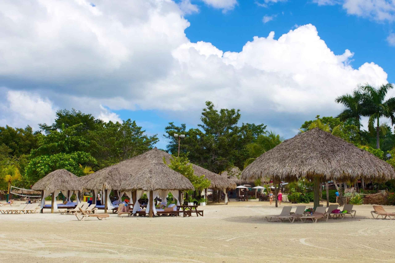 Privé : Aventure en catamaran et barbecue sur la plage de l'île Catalina