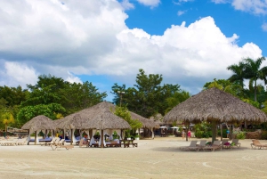 Privé : Aventure en catamaran et barbecue sur la plage de l'île Catalina