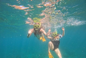 Privé : Aventure en catamaran et barbecue sur la plage de l'île Catalina