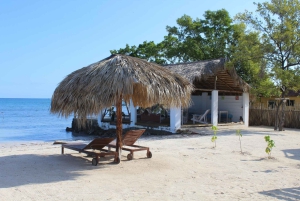 Privé : Aventure en catamaran et barbecue sur la plage de l'île Catalina