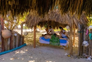 Privé : Aventure en catamaran et barbecue sur la plage de l'île Catalina