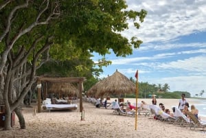 Privé : Aventure en catamaran et barbecue sur la plage de l'île Catalina