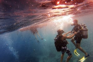 Private: Catamaran Adventure & Beach BBQ at Catalina Island