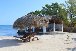 Private: Catamaran Adventure & Beach BBQ at Catalina Island