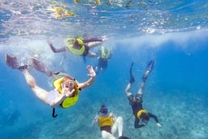 Private: Catamaran Adventure & Beach BBQ at Catalina Island