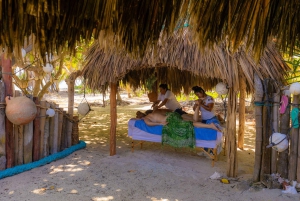 Private: Catamaran Adventure & Beach BBQ at Catalina Island