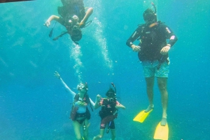 Private: Catamaran Adventure & Beach BBQ at Catalina Island