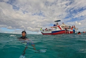 Passeio privativo de catamarã