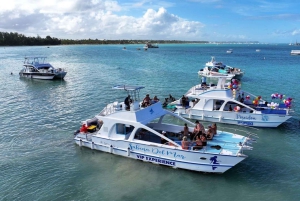 Tour privato in catamarano a Punta Cana: Festa alcolica+Snorkeling
