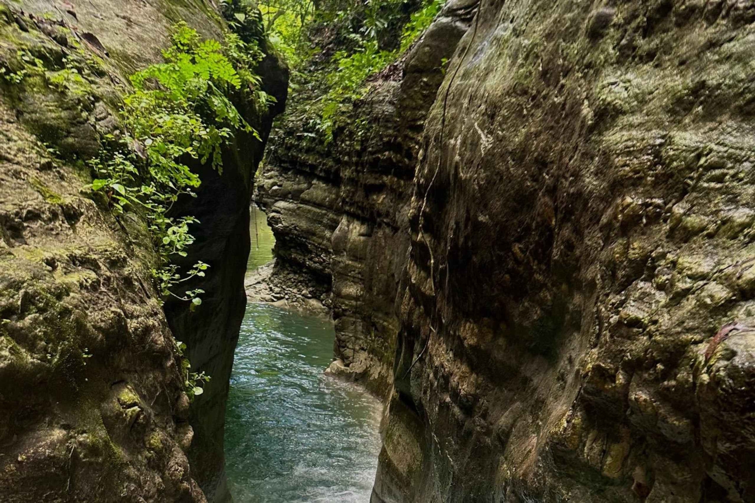 Private: Damajagua Waterfalls Adventure with Jungle Trek