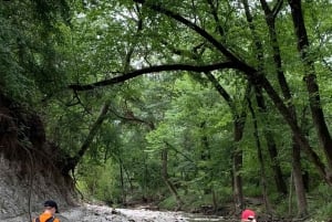 Private: Damajagua Waterfalls Adventure with Jungle Trek