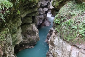 Private: Damajagua Waterfalls Adventure with Jungle Trek