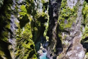 Private: Damajagua Waterfalls Adventure with Jungle Trek