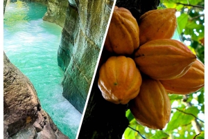 Private Damajagua Waterfalls Canyoning + Cocoa & Coffee Tour