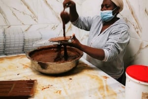 Private Damajagua Waterfalls Canyoning + Cocoa & Coffee Tour