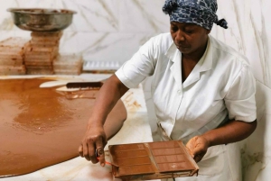 Private Damajagua Waterfalls Canyoning + Cocoa & Coffee Tour