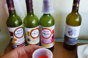 Private Damajagua Waterfalls Canyoning + Cocoa & Coffee Tour