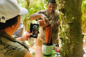 Private Damajagua Waterfalls Canyoning + Cocoa & Coffee Tour