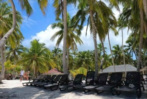 Privater Tagesausflug zur Insel Saona von Juan Dolio aus