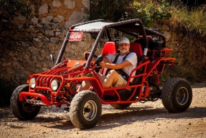 Private: Dominican Countryside Buggy Adventure