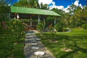 Private: Dominican Highlands & Taino Culture Day Trip