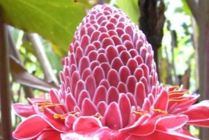 Private: Dominican Highlands & Taino Culture Day Trip