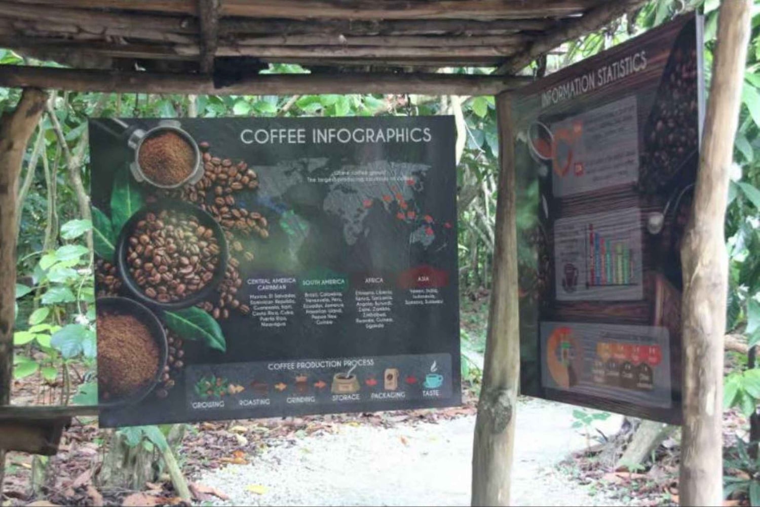 Private E-Bike Adventure Macao, El Salado, Ceiba & El Caño