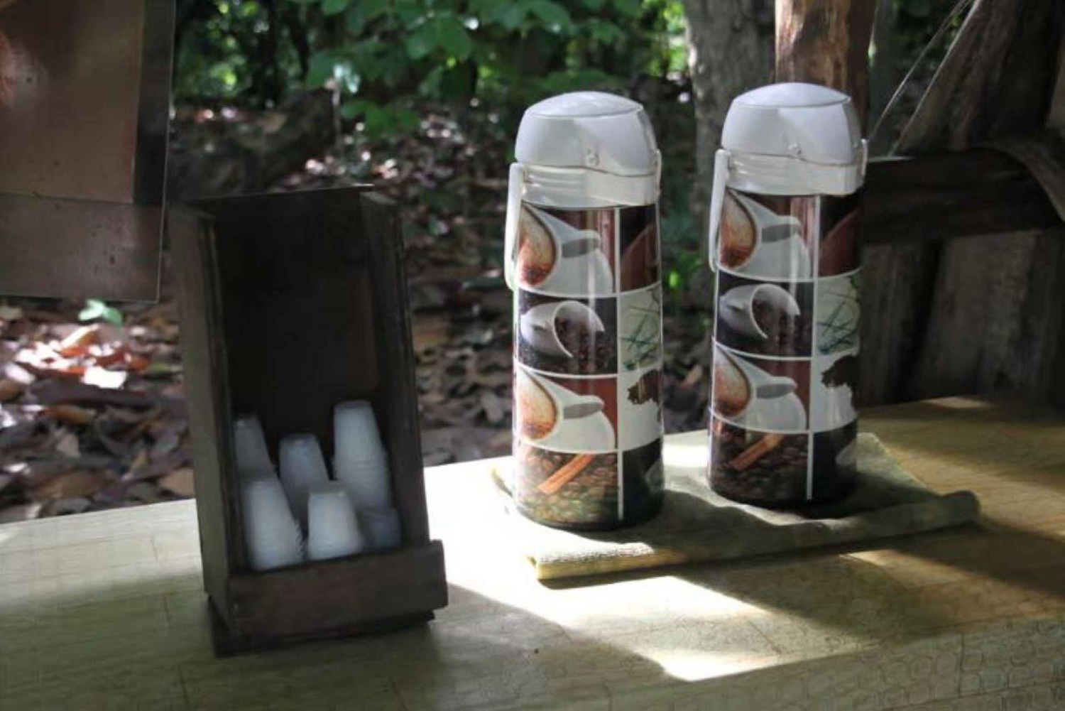 Private E-Bike Adventure Macao, El Salado, Ceiba & El Caño