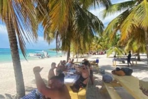 プライベート：サオナ島へのカタマラン船での冒険旅行をお楽しみください