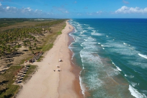 Private: Esmeralda Zip & Redonda Mountain Tour