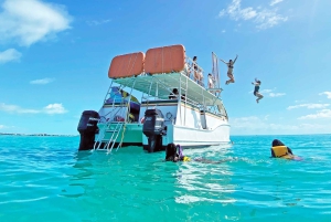 Private: Exclusive Saona Island VIP Speedboat Charter