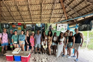 Private: Exclusive Saona Island VIP Speedboat Charter