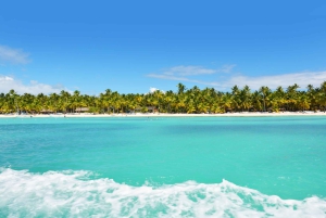 Private: Exclusive Saona Island VIP Speedboat Charter