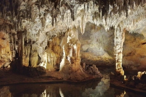 Private Excursion to Cuevas las Maravillas & Altos de Chavón