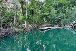 Private: Explore Los Haitises National Park Day Trip