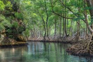 Private: Explore Los Haitises National Park Day Trip