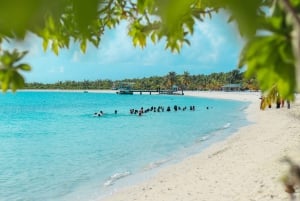 Privat: Heldags tur til Catalina-revet og strand med katamaran