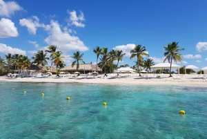 Privat: Heldags tur til Catalina-revet og strand med katamaran