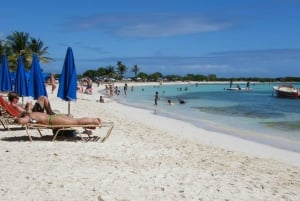 Privat: Heldags tur til Catalina-revet og strand med katamaran