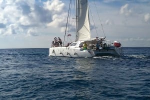 Privat: Heldags tur til Catalina-revet og strand med katamaran