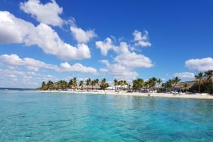 Privat: Heldags tur til Catalina-revet og strand med katamaran