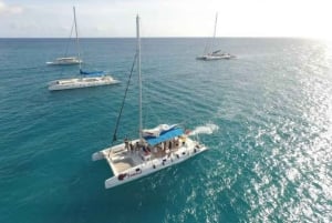 Privado: excursión de un día desde Chavón y la isla Saona