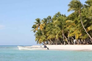 Privado: excursão de dia inteiro saindo de Chavón e Ilha Saona