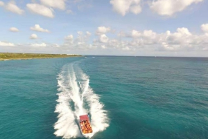 Privado: excursão de dia inteiro saindo de Chavón e Ilha Saona