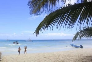 Privado: excursão de dia inteiro saindo de Chavón e Ilha Saona