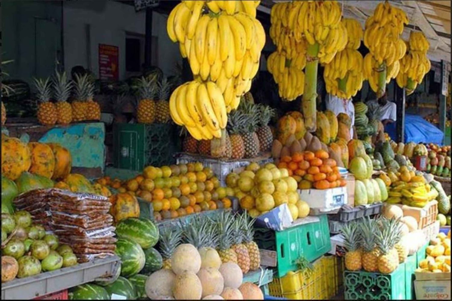 Private Full-Day Safari Adventure in Punta Cana with Pickup